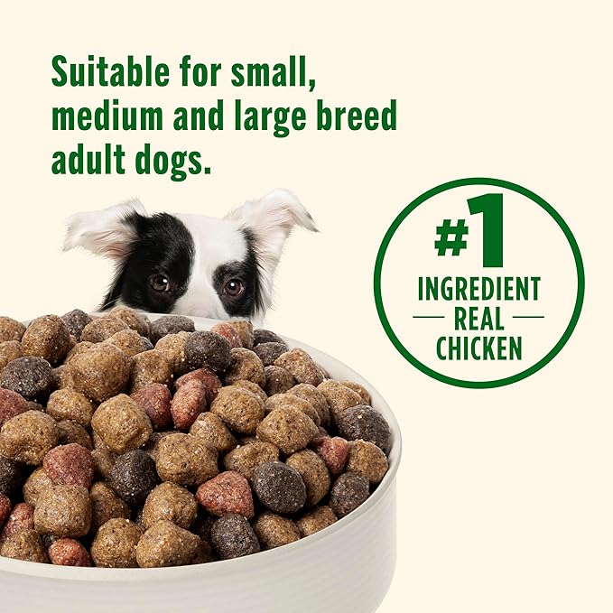 Nutrish Dry Dog Food Real Chicken & Veggies Recipe Whole Health Blend, 40 lb. Bag, (Rachael Ray)