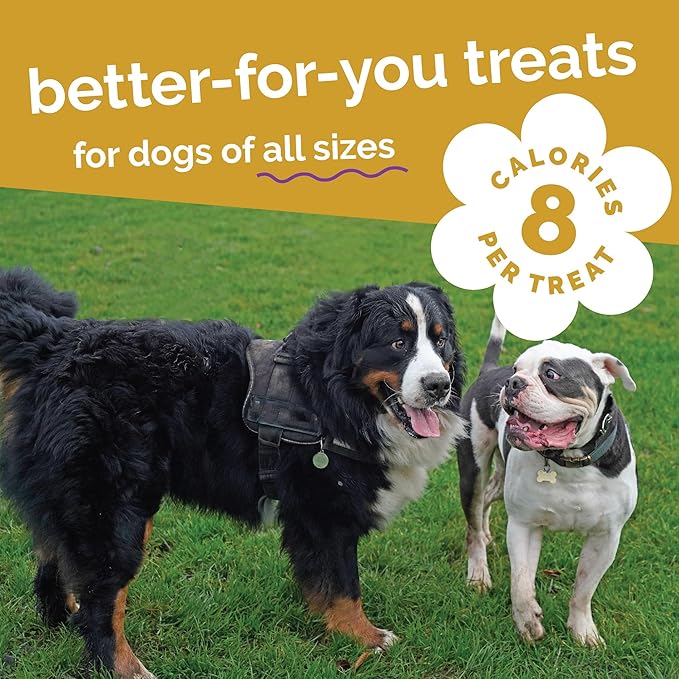 Fruitables Baked Dog Treats, Healthy Pumpkin Treat for Dogs, Low Calorie & Delicious, Free of Wheat, Corn and Soy, Made in The USA, Chicken and Cranberry Flavor, 12 oz
