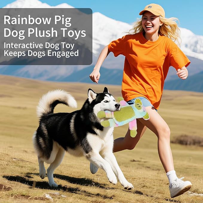 Dog Toys Plush, Squeaky Stuffed Dog Toy, Rainbow Pig Dog Toys for Small Medium Breeds, Soft Dog Plush Toy, Puppy Teething Dog Toy, Interactive Dogs Toy for Indoor Dogs(Green)
