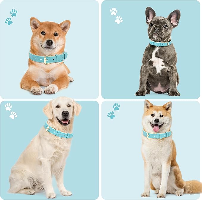 Leather Dog Collar for Small Medium Large Dogs, Soft Padded Dog Leather Collar with Heavy Duty Gold Buckle, Durable & Comfortable for Puppy Dogs Daily Walking (Teal, XS)