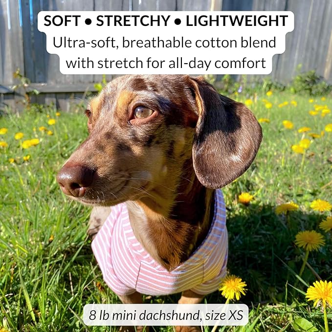 DJANGO Dog Hoodie – Warm, Lightweight, Soft & Stretchy Dog Sweater with Hood, Harness Hole & Elastic Waistband – Cozy Sweatshirt for Small Dogs up to 25 lbs, Dachshunds & Puppies – Blush Pink, Small