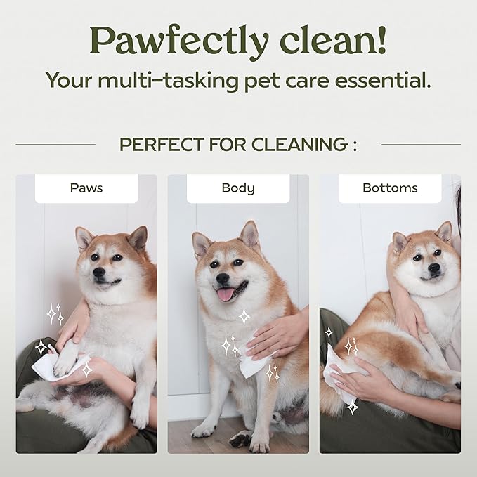 Pawfume Dog Wipes 2 x 100 Count, Pet Wipes – Hypoallergenic & Gentle Dog Wipes for Eyes, Face, Butt, and Paws – Cleaning & Deodorizing, Grooming Tear Stain Wipes for Puppy, Adult Dogs & Cats