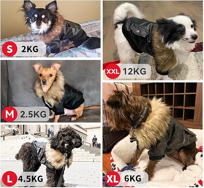 PETLESO Dog Coat for Small Dogs, Dog Leather Jacket Waterproof Windproof, Double Layer Warm Dog Winter Coat with Plush Lined, Black XXL