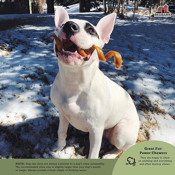 Redbarn Pet Products Bully Springs for Dogs, 3-Count, Pack of 15