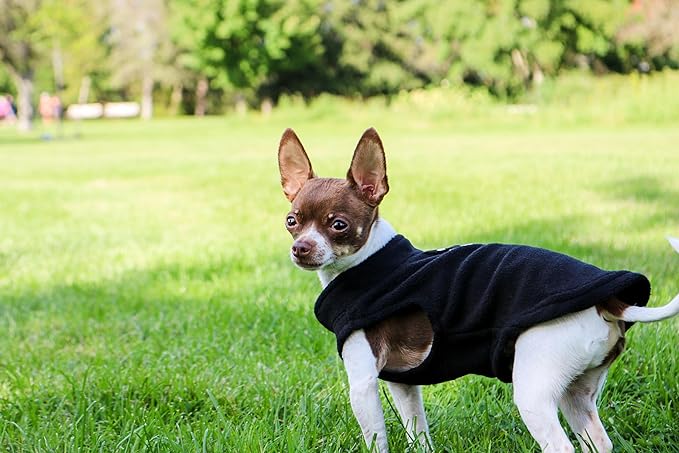 JACKO & CO - Fleece Vest Dog Sweater with Leash Ring - Soft, Warm & Lightweight Pullover Coat for Small & Medium Dogs, Puppies & Cats - Cozy Fall/Winter/Spring Pet Jacket (Black, Large 10-16lbs)
