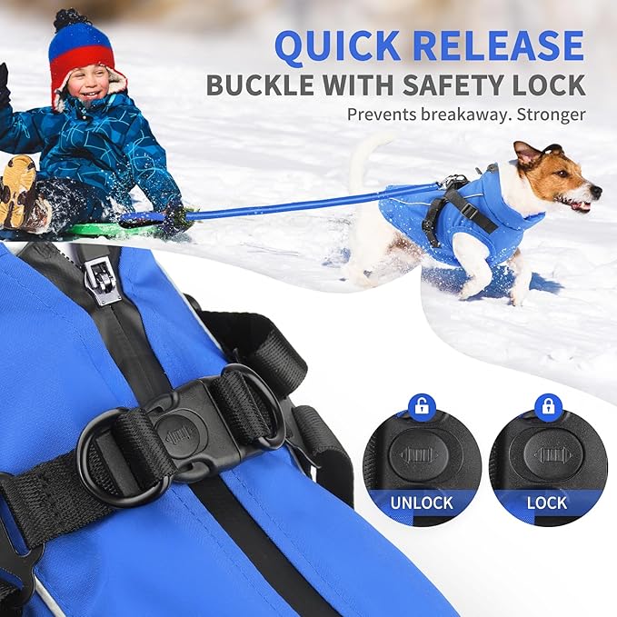 Dog Winter Coat Reflective Water-Resistant Jacket, Fleece Lined Windproof Puppy Coat with Back Zipper & D-Ring, Cold Weather Dog Coats for Small Medium Large Dogs (S, Blue)