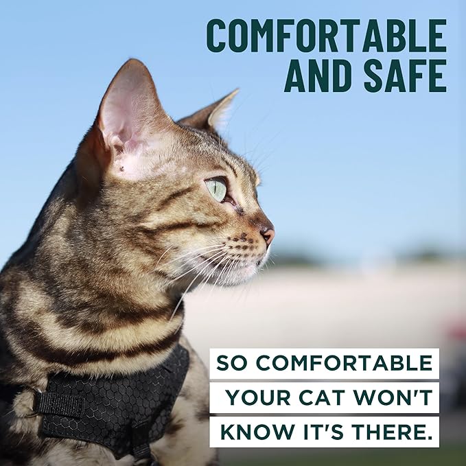 Houdini™ Escape Proof Kitten Harness and Leash Set by OutdoorBengal – Red, Small Cat Harness for Walking