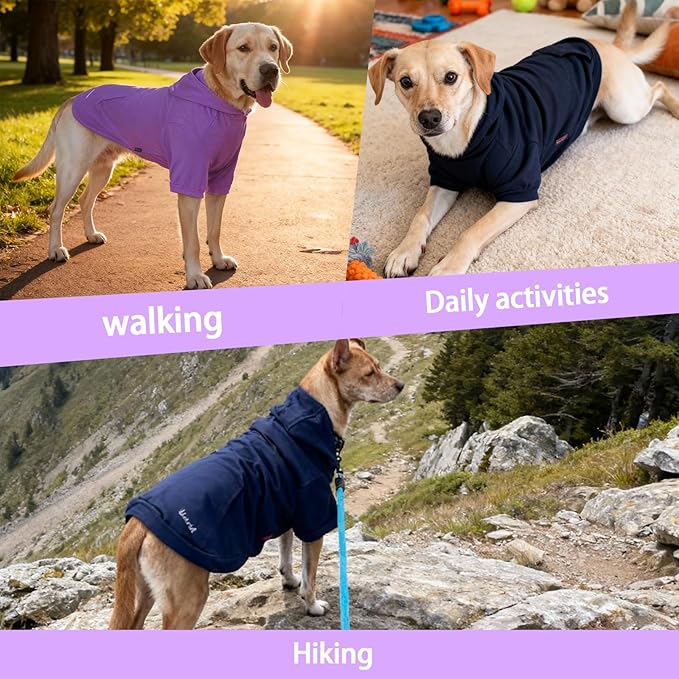 Basic Dog Hoodie Sweatshirts, Pet Clothes Hoodies Sweater with Hat and Leash Hole, Soft Cotton Outfit Coat for Large Medium Small Dogs, Purple (Small)
