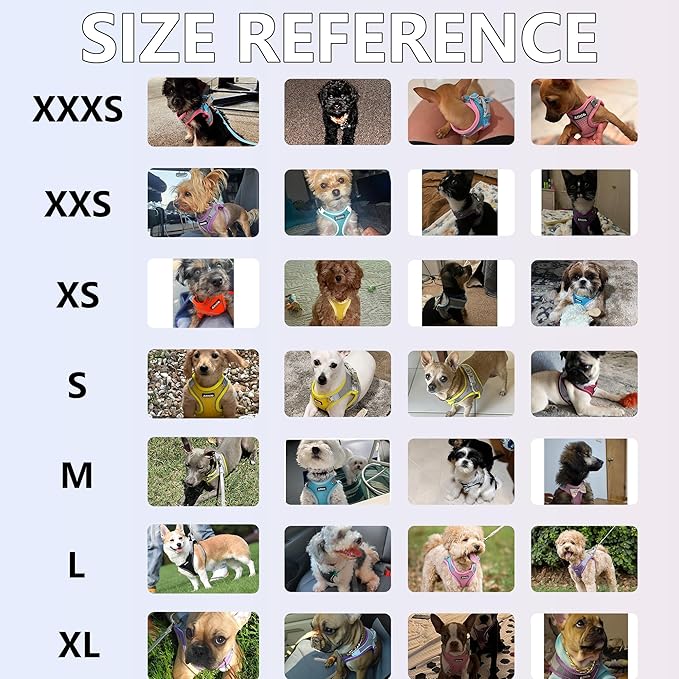 AIITLE No Pull Dog Harness and Leash Set, Step in Adjustable Dog Harness with Padded Vest for All Weather, Dog Leash with Soft Padded Handle, Easy to Put on Small and Medium Dogs Hot Pink S