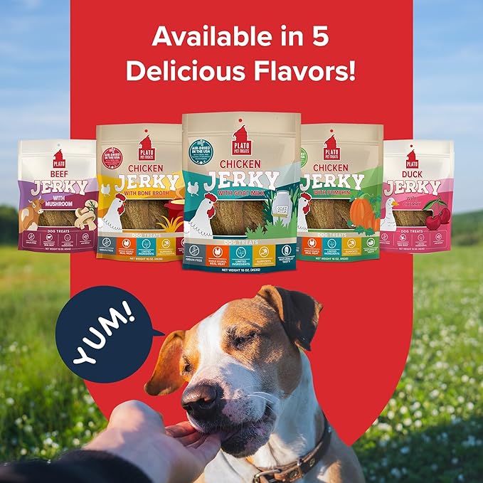 PLATO Pet Treats Jerky Dog Treats - Air-Dried Jerky for Dogs - Delicious, Real Meat Dog Treats - Grain Free - Supports Healthy Digestion - Chicken Jerky with Goat Milk 16oz