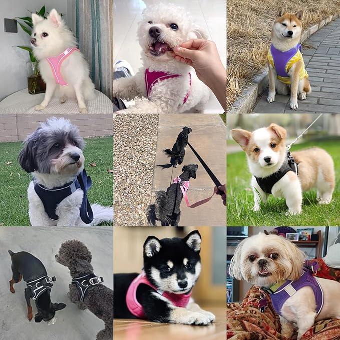 Dog Harness with Leash Set, No-Pull Step-in Reflective Pet Harness with 1 Leash Clips, Adjustable Soft Padded Easy Walk Dog Vest for Small Medium Large Dogs, Cats(Dark Blue, Small)