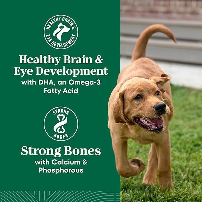 Nutro Natural Choice Lamb & Brown Rice Puppy Food Dry Recipe, 12 lb. Bag