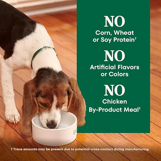 Nutro Natural Choice Lamb & Brown Rice Puppy Food Dry Recipe, 12 lb. Bag