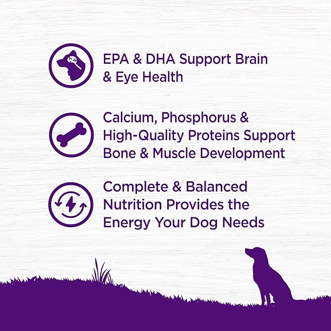 Wellness Complete Health Dry Puppy Food, Chicken, Salmon & Oatmeal, 5-Pound Bag