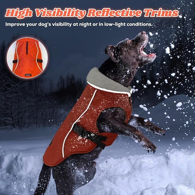 EMUST Dog Jacket Winter, Cozy Windproof Dog Jacket for Cold Weather, Solid Color Pet Vests for Winter for Medium Dogs, Orange, M