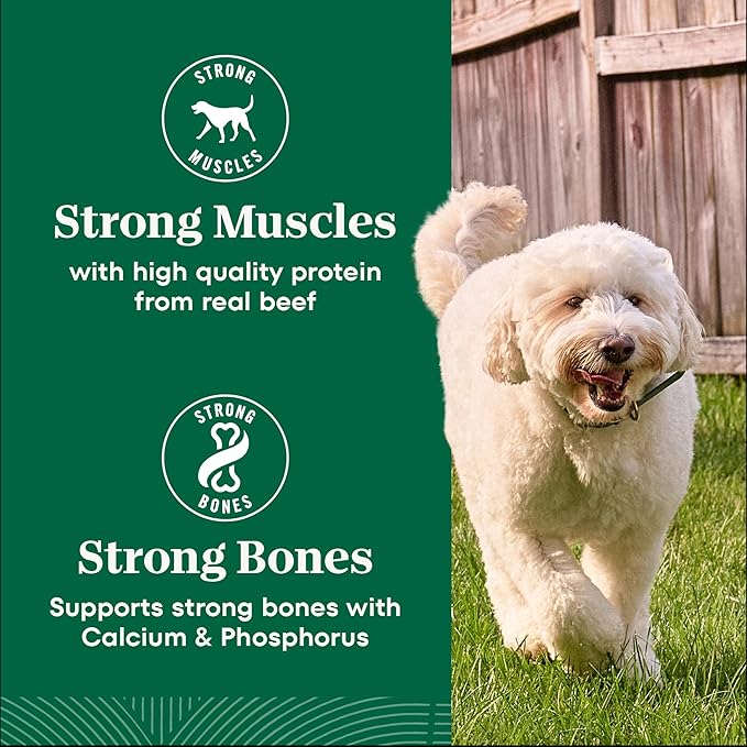 Nutro Natural Choice Adult Dry Dog Food, Beef and Brown Rice Recipe, 12 lbs.