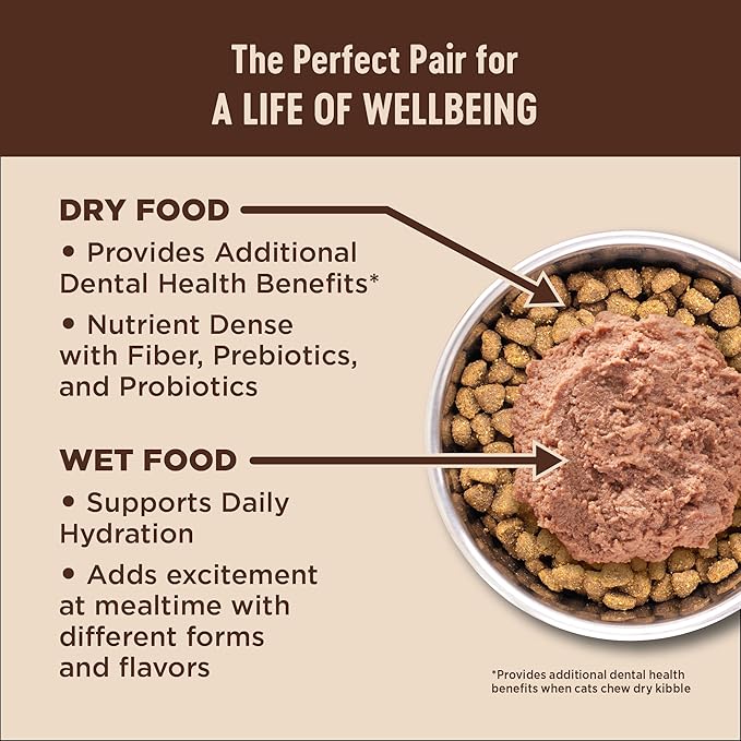 Wellness CORE Kitten Dry Cat Food for Indoor & Outdoor Cats, Grain Free, Natural, Original Turkey, Turkey Meal and Chicken (5 Pound Bag)