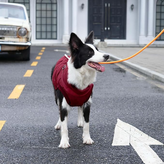 Dog Jacket with Harness,Fleece Lined Warm Puppy Coat for Winter,Soft Windproof Small Dog Vest,Red M