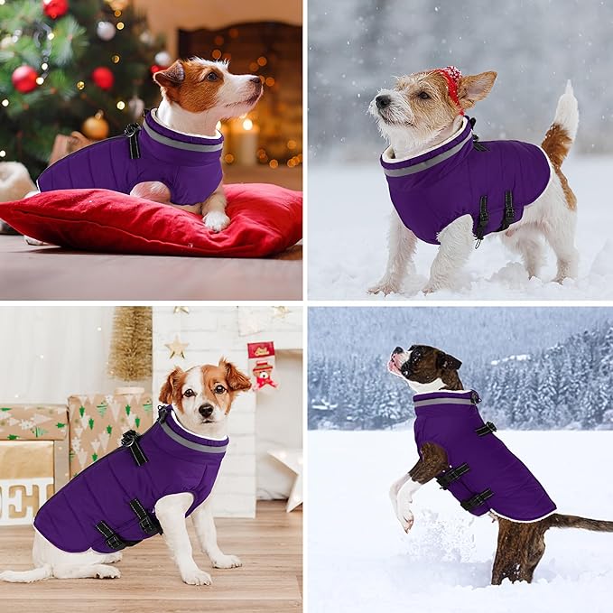 Dogcheer Dog Coat with Harness, Waterproof Dog Jacket Adjustable Pet Winter Coat with Zipper, Christmas Puppy Snow Jacket Fleece Sweater for Small Medium Large Dogs - Purple XS