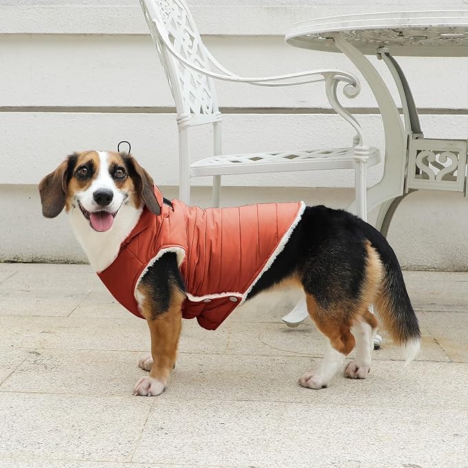 Fleece Lining Dog Hoodie with Harness Built in,Extra Warm Medium Dog Jacket in Winter Doggie Coats with Drawstring Hooded,Orange L