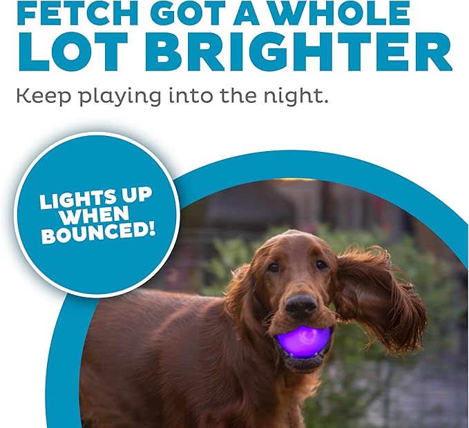 Outward Hound by Planet Dog Strobe Light Up LED Ball Dog Toy, Purple