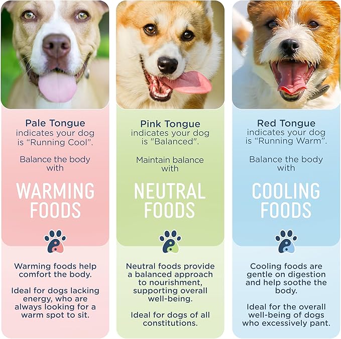 Side by Side Beef & Salmon Stew - Neutral Wet Dog Food & Dog Food Topper for All Breeds - Made with Nutrients & Whole Raw Ingredients - No Artificial Additives or Fillers - USA Made (12.5 oz, 6-Pack)