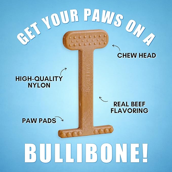 Bullibone Nylon Dog Chew Toy Nylon Bone - Improves Dental Hygiene, Easy to Grip Bottom, and Permeated with Flavor (Beef, XL - 2 Pack)