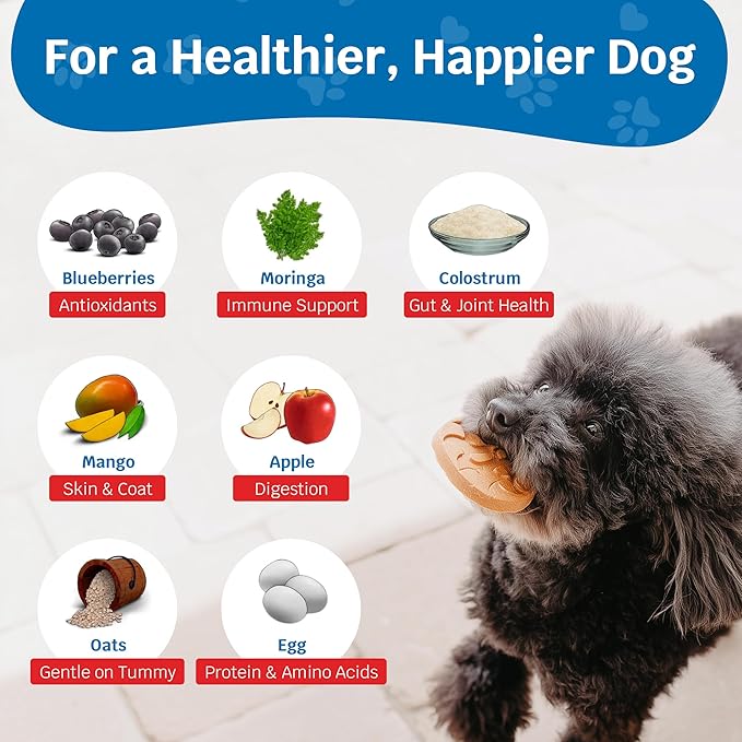 Shmush! Morning & Night Healthy Dog Biscuits – 100% All Natural Dog Treats Superfood with Blueberries, Colostrum & Moringa - Vet Formulated, Non-GMO, USA Made, Grain Free Cookies for Dogs - 56 Count