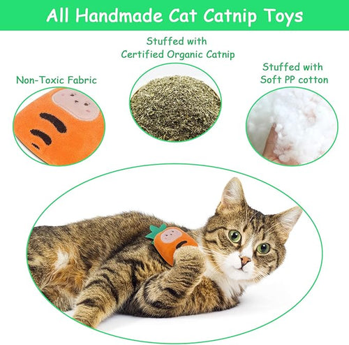 6 Pack Cat Toys Pineapple, Catnip Kitten Toys for Indoor Cats Kitty, Interactive Cat Nip Chew Kicker Toy for All Pet Breed