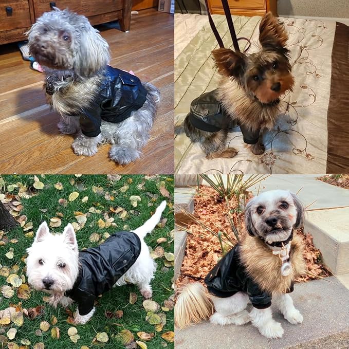 LESYPET Dog Leather Jacket for Small Dogs, Waterproof Dog Winter Jacket Puppy Coat with Fleece Lined, Ultra Warm Fur Collar Doggie Coat, Red M