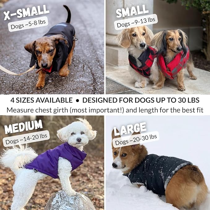 DJANGO Reversible Puffer Dog Coat – Warm Winter Dog Jacket & Water-Repellent Insulated Dog Coat with Harness Hole, Windproof, Adjustable Fit for Small & Medium Dogs, Dachshunds – Lava Red, Medium