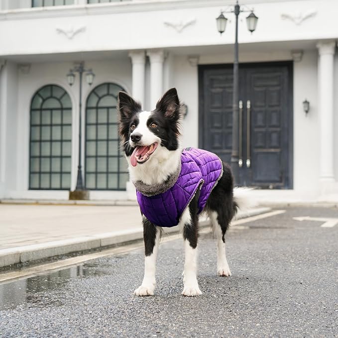 Warm Fleece Dog Coats with Durable Harness Buitl in D-Ring,Waterproof Puppy Jacket for Small Dogs,Dog Vest for Cold Winter,Purple XS