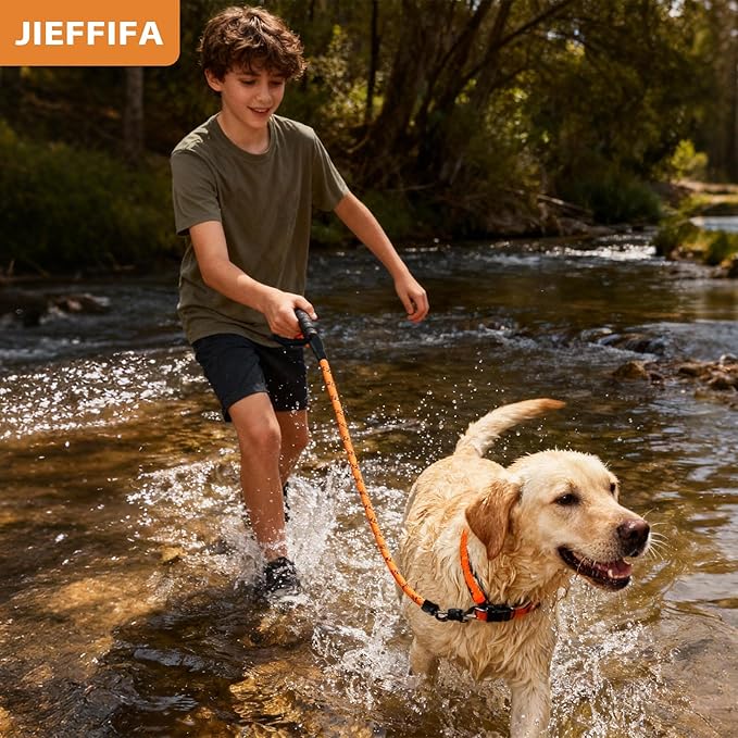 Nylon Dog Leash for Medium Large Dogs, 5-FTReflective Heavy Duty Leash with Comfortable Handle & Poop Bag Dispenser Ring, 1/2 Inch Wide, Secure Reinforcement for Walking (Orange, M)