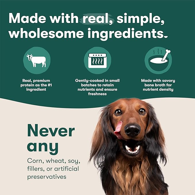 Jinx Wet Dog Food Topper, Mix with Dry Dog Food, Made with Real Salmon & Chicken, Bone Broth, No Fillers, for All Lifestages, 9oz, 1 Pack