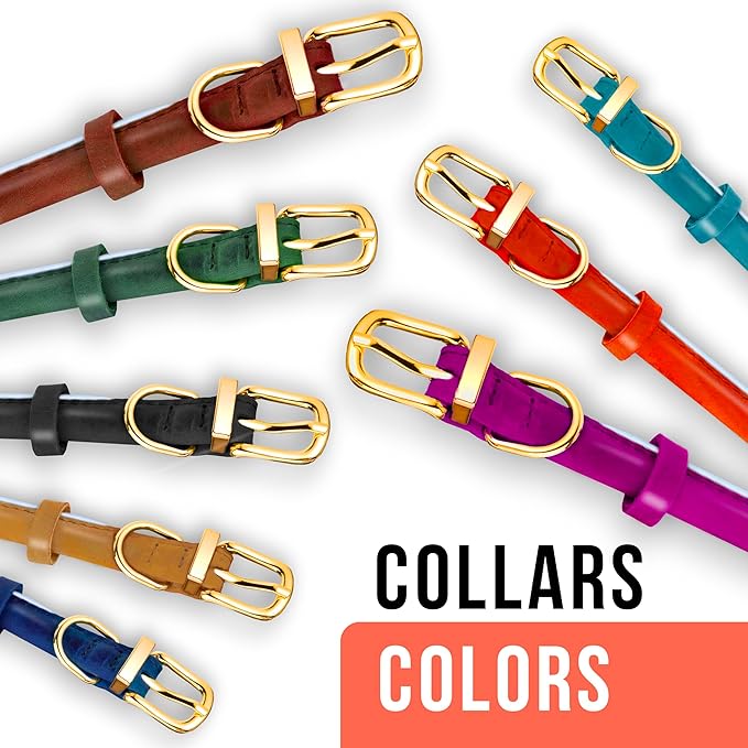 OOPSDOGGY Reflective Rolled Leather Dog Collar Adjustable Soft Padded Pet Collar for Small Medium Large Breed Dogs (Teal, XXL, 20"-24")
