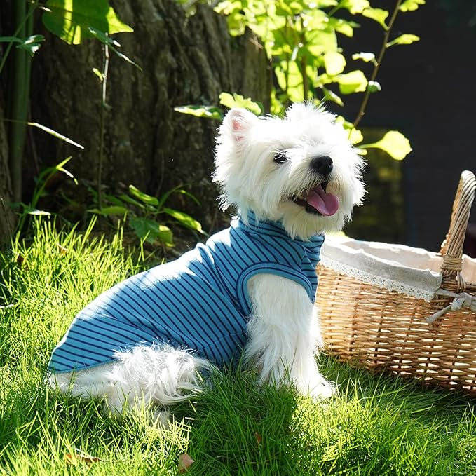 ROZKITCH Dog Turtleneck Sweater, Ultra-Soft Stretch Fleece Vest for Medium & Large Dogs, Cold Weather Apparel for Outdoor Adventures BlueStripe 2XL
