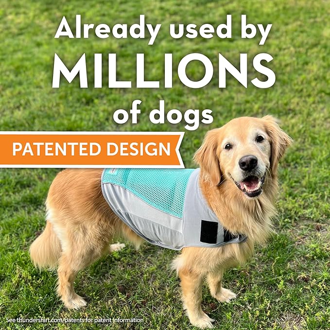 ThunderShirt Breeze for Dogs, Small, Aqua, Extra Breathable Mesh Fabric, Dog Anxiety Relief Vest for Every Day Stress & Calming During Thunder Storms and Fireworks