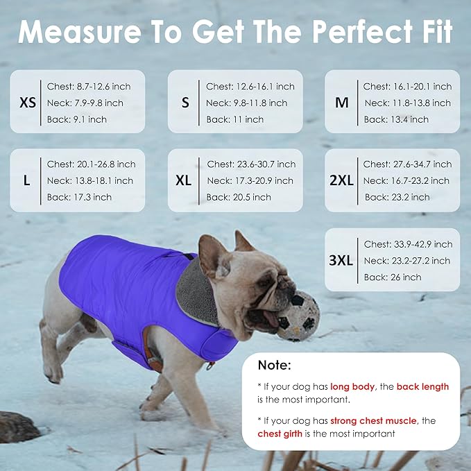 Dog Winter Coat, Waterproof Dog Jacket with Leash Hole, Reflective Adjustable Pet Snow Vest, Warm Fleece Sweater for Small Medium Large Dogs - Blue, S
