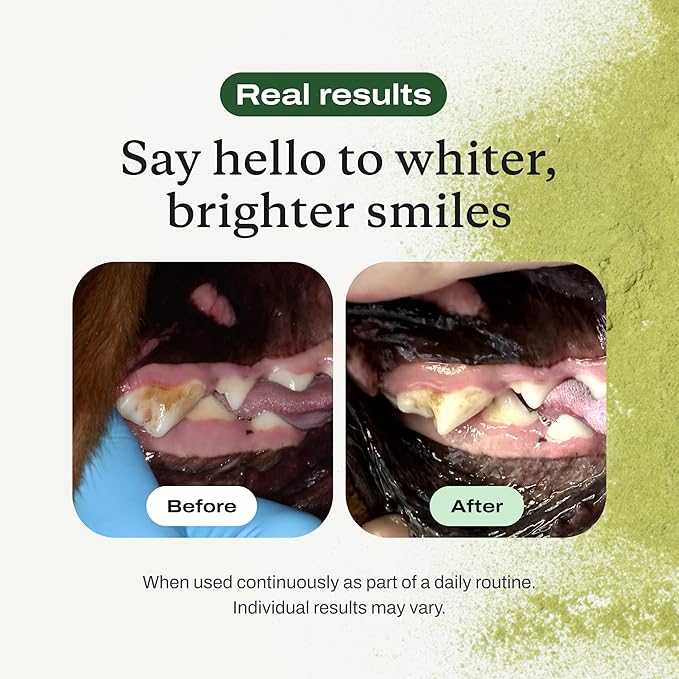 PetLab Co. ProBright Dental Powder - Dog Breath Freshener - Teeth Cleaning Made Easy – Targets Tartar & Bad Breath - Formulated for Medium Size Dogs - Packaging May Vary