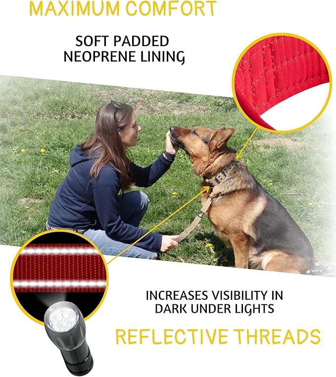 ADITYNA Heavy Duty Dog Collar for Medium Dogs - Reflective Red Collar with Handle for Training, and Walking - Wide, Thick, Tactical, Soft Neoprene Padded