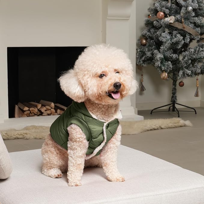 Extra Warm Dog Hoodie in Winter for Large Dogs Jacket Pet Coats with Hooded Green XXL