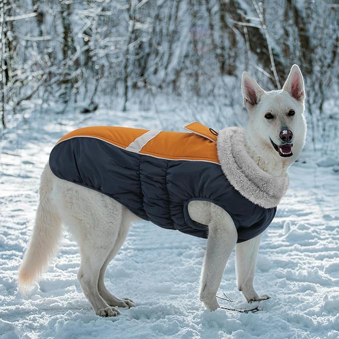 Queenmore Waterproof Dog Coat for Small Dogs,Reflective Windproof Dog Jackets with Leash Hole,Winter Dogs Coat with Zipper On Back,Warm Snowsuit with Fleece Lining（Brown,XS