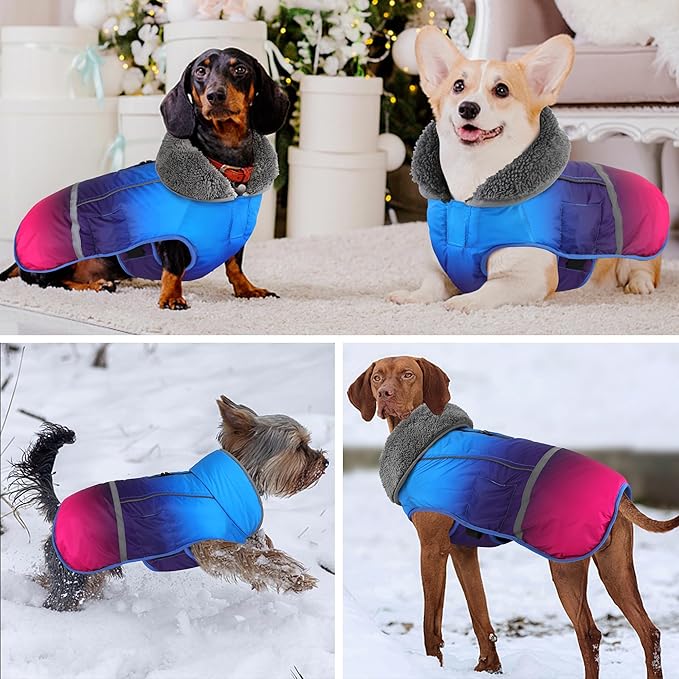 Dogcheer Warm Dog Coat, Waterproof Dog Winter Jacket Christmas Puppy Cold Weather Coats with Buckle, Reflective Adjustable Pet Snow Jacket for Small Medium Large Dogs - Gradient Blue-red, 2XL