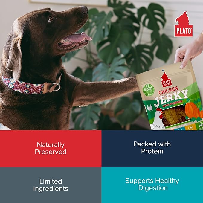 PLATO Pet Treats Dog Treats - Air-Dried Jerky for Dogs - Delicious, Real Meat Dog Treats - Grain Free - Supports Healthy Digestion - Chicken Jerky with Pumpkin 7oz