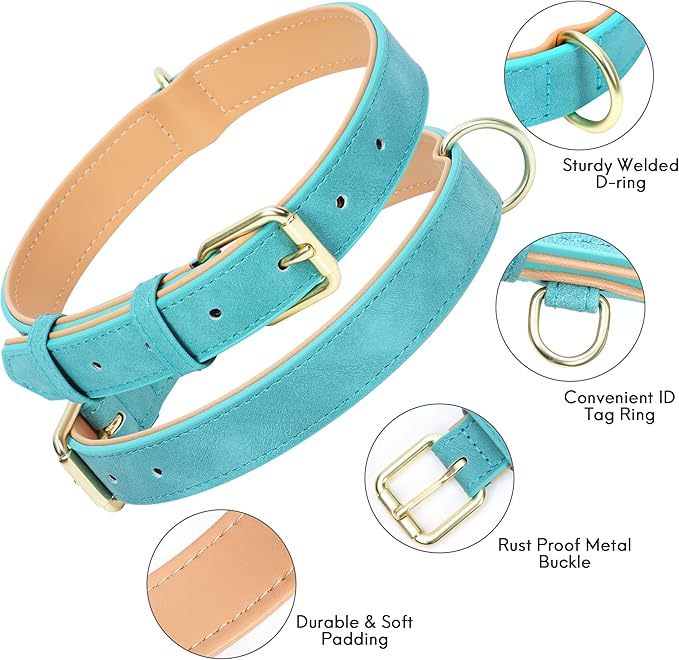 Leather Dog Collar for Small Medium Large Dogs, Soft Padded Dog Leather Collar with Heavy Duty Gold Buckle, Durable & Comfortable for Large Dogs Daily Walking (Teal, L)