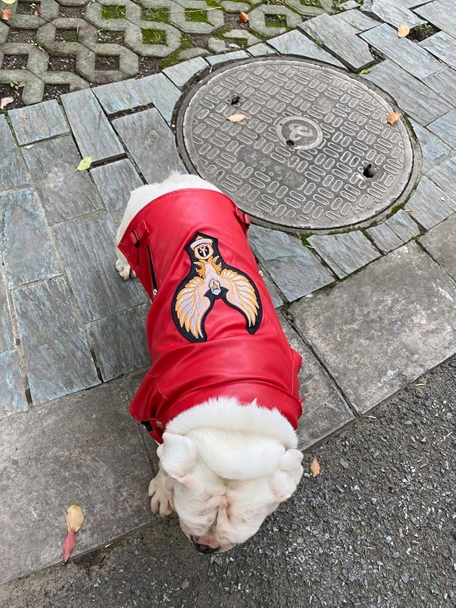 Lovelonglong Cool Dog Leather Jacket, Warm Coats Dogs Windproof Cold Weather Coats for Large Medium Small Dogs with Eagle Embroidery Red B-S
