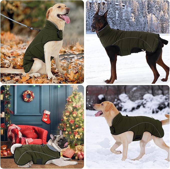 HEYWEAN Dog Winter Coat - Waterproof Windproof Reflective Vest for Medium & Large Breeds Adjustable Warm FleeceLined Jacket with Magic Tape & D-Ring for Leash Cold Weather Apparel (Green, XX-Large)