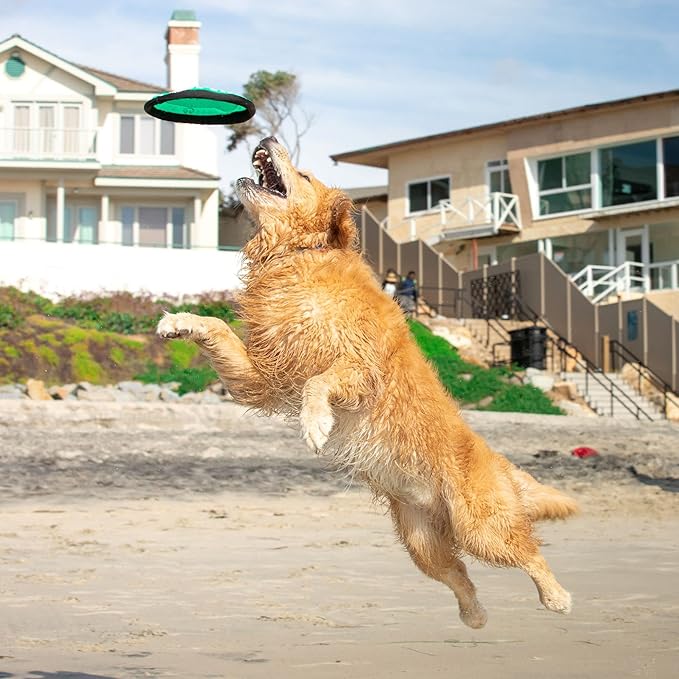 Hyper Pet Flippy Flopper Dog Frisbee Interactive Dog Toys [Flying Disc Fetch Toy Floats in Water & Safe on Teeth] (Colors Will Vary), Multicolor, 9"