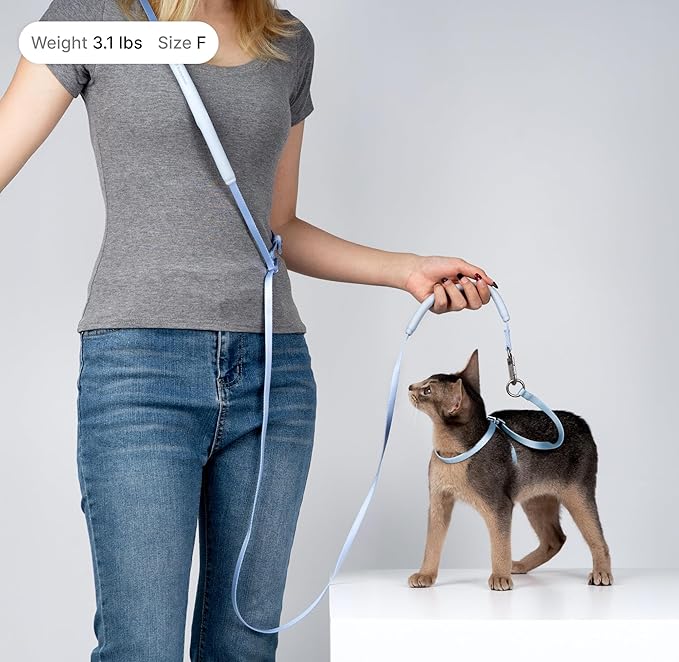 Cat Harness and Leash Set, Lightweight Escape Proof Cat Harness Leash with Padded Handle, Adjustable Cat Leash and Harness for Kitten Small Large Cats Walking Training (Monet Purple, S)