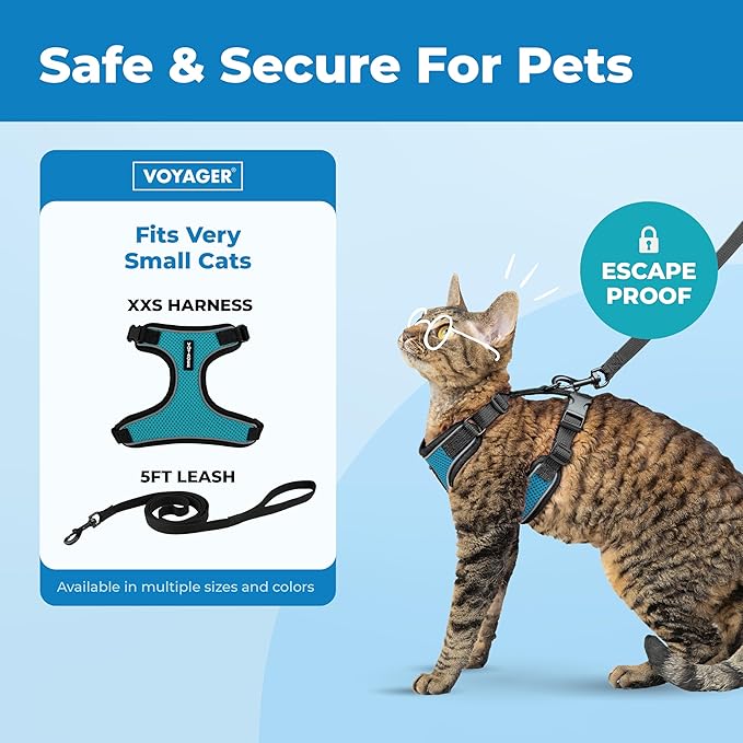 Voyager Escape Proof Cat Harness and Leash Set with Reflective Stitching, Neoprene Handle 5ft - Supports Small, Medium and Large Cats, Kittens for Walking by Best Pet Supplies - BT-Turquoise, XXS